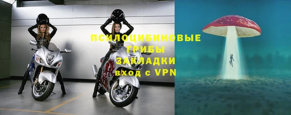 ГАЛЛЮЦИНОГЕННЫЕ ГРИБЫ Баксан